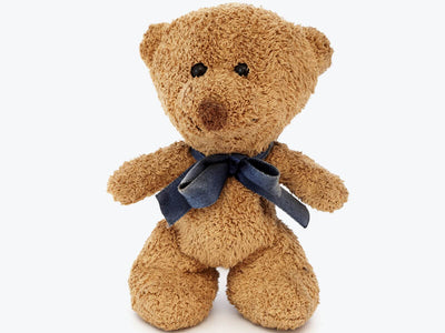 Teddy Bear Blue